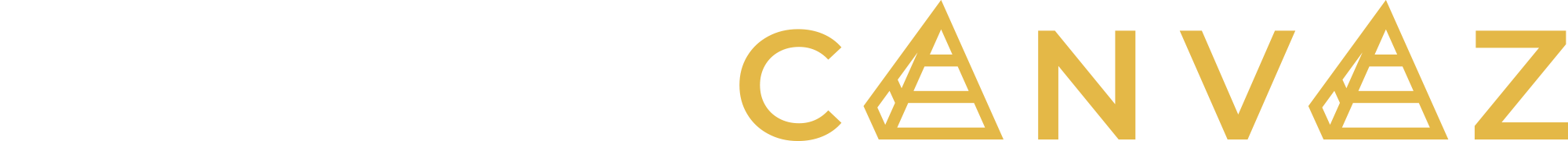 Blank Canvaz
